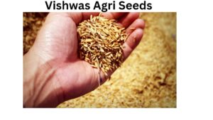 Vishwas Agri Seeds IPO Date Price Review GMP Details