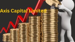 Axis Capital Limited IPO Lead Manager Review 2024