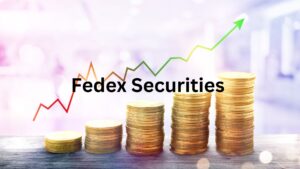 Fedex Securities Pvt Ltd IPO Lead Manager Detail Review 2024