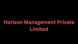 Horizon Management IPO Lead Manager New Detailed Review 2024